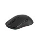 Мышь 2E Gaming MG270 WL, WL/BT, чёрный