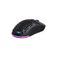 Мышь 2E Gaming HyperDrive Lite WL, RGB Black