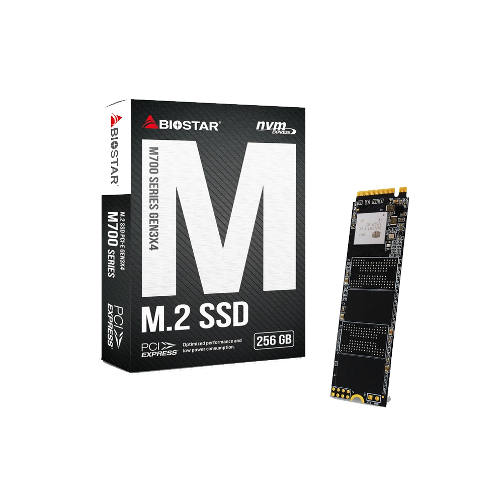 Накопитель SSD BIOSTAR M700-256GB