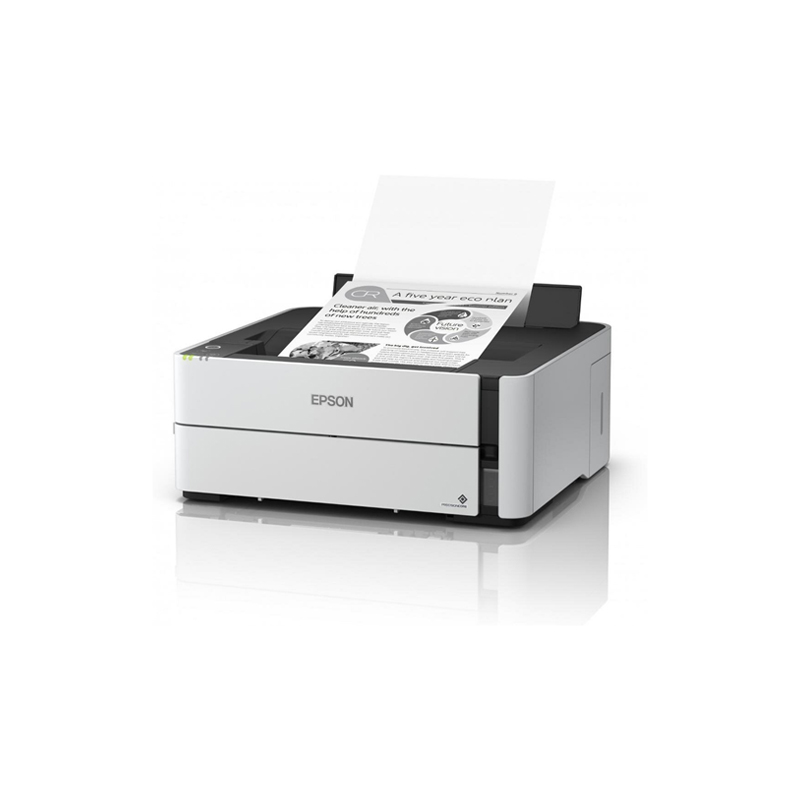 Принтер Epson M1170