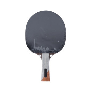 Ракетка для настольного тенниса Loki Carbon 5 Star A508 Ракетка для настольного тенниса Loki Carbon 5 Star A508