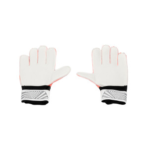 Вратарские перчатки PowerGym 808