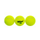 Теннисные мячи Wilson Tour Premier A190