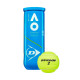 Теннисные мячи Dunlop A189