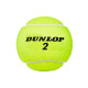 Теннисные мячи Dunlop A189