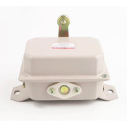 Концевой выключатель Delixi LXJM1-8169 Концевой выключатель Delixi LXJM1-8169