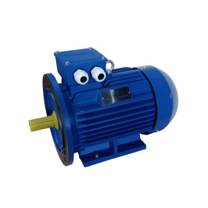Электродвигатель асинхронный ENERGY MOTORS АИР100L-2 Электродвигатель асинхронный ENERGY MOTORS АИР100L-2