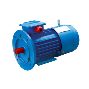 Электродвигатель асинхронный ENERGY MOTORS АИР160 S6 Электродвигатель асинхронный ENERGY MOTORS АИР160 S6