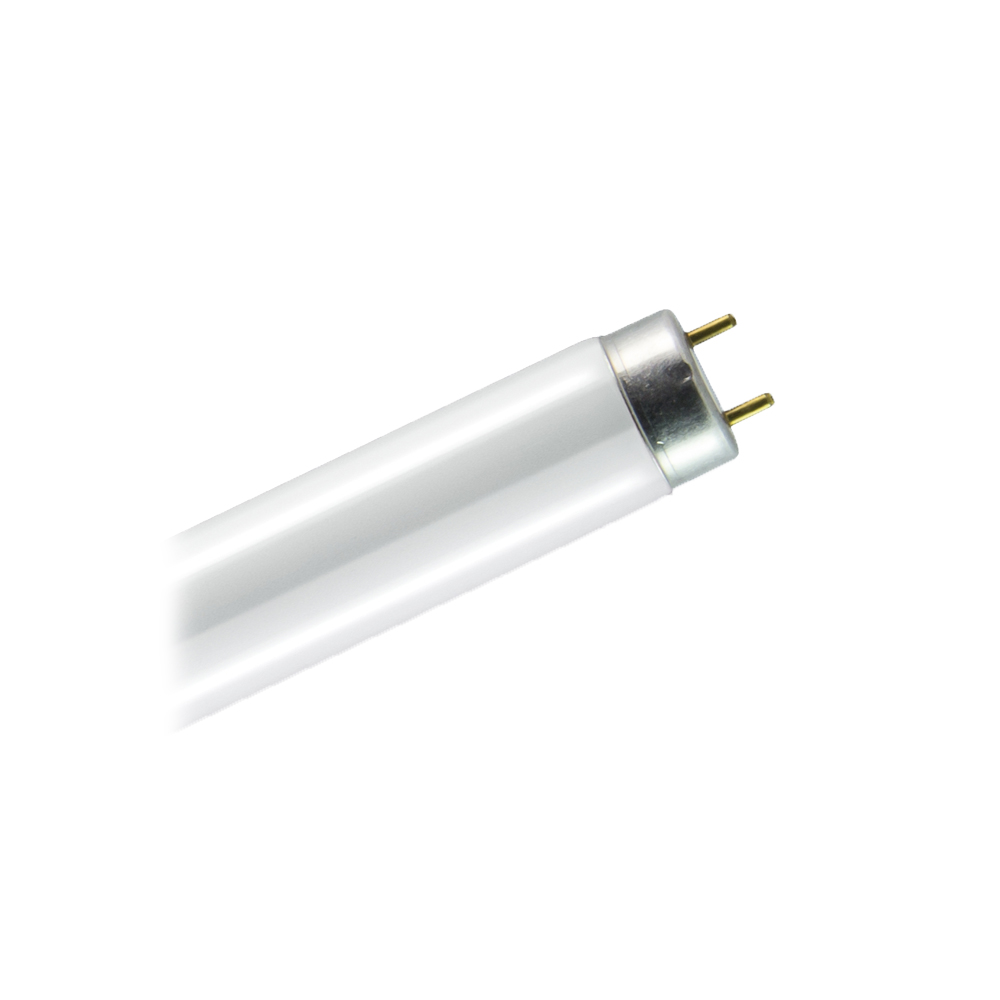 Люминесцентная лампа OSRAM NL-T8 36W/765 25X1 NCE