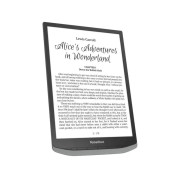 Электронная книга PocketBook 1040D InkPad X PRO, Mist Grey