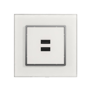 Розетка SONGRI ELECTRIC SEU2-17 двойная USB