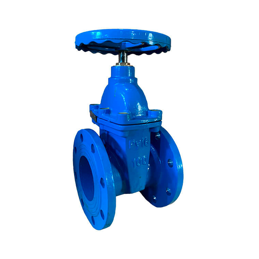 Задвижка чуг.30ч39р Ду-65 Ру-16