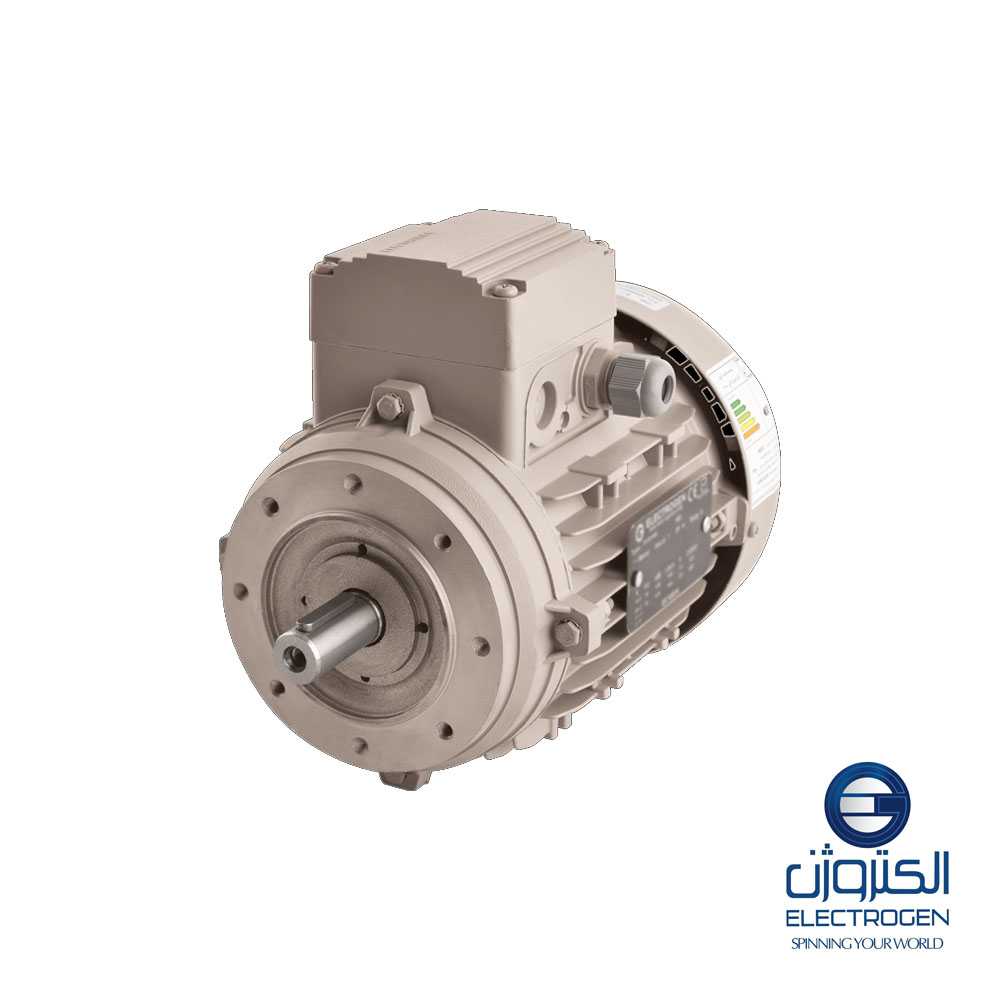 Трехфазный электродвигатель Electrogen 112-рама, 4 полюса, крепление B14