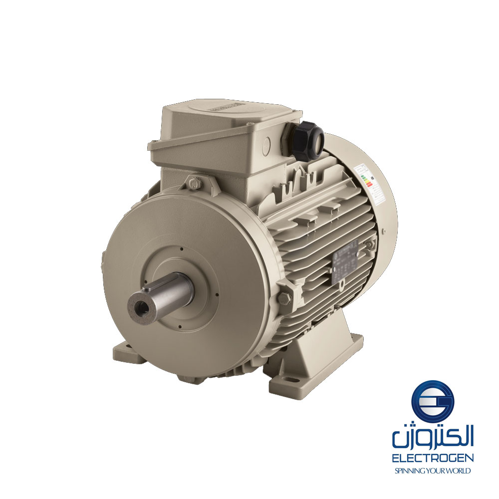 Трехфазный электродвигатель Electrogen 160-рама, 6 полюсов, крепление B3
