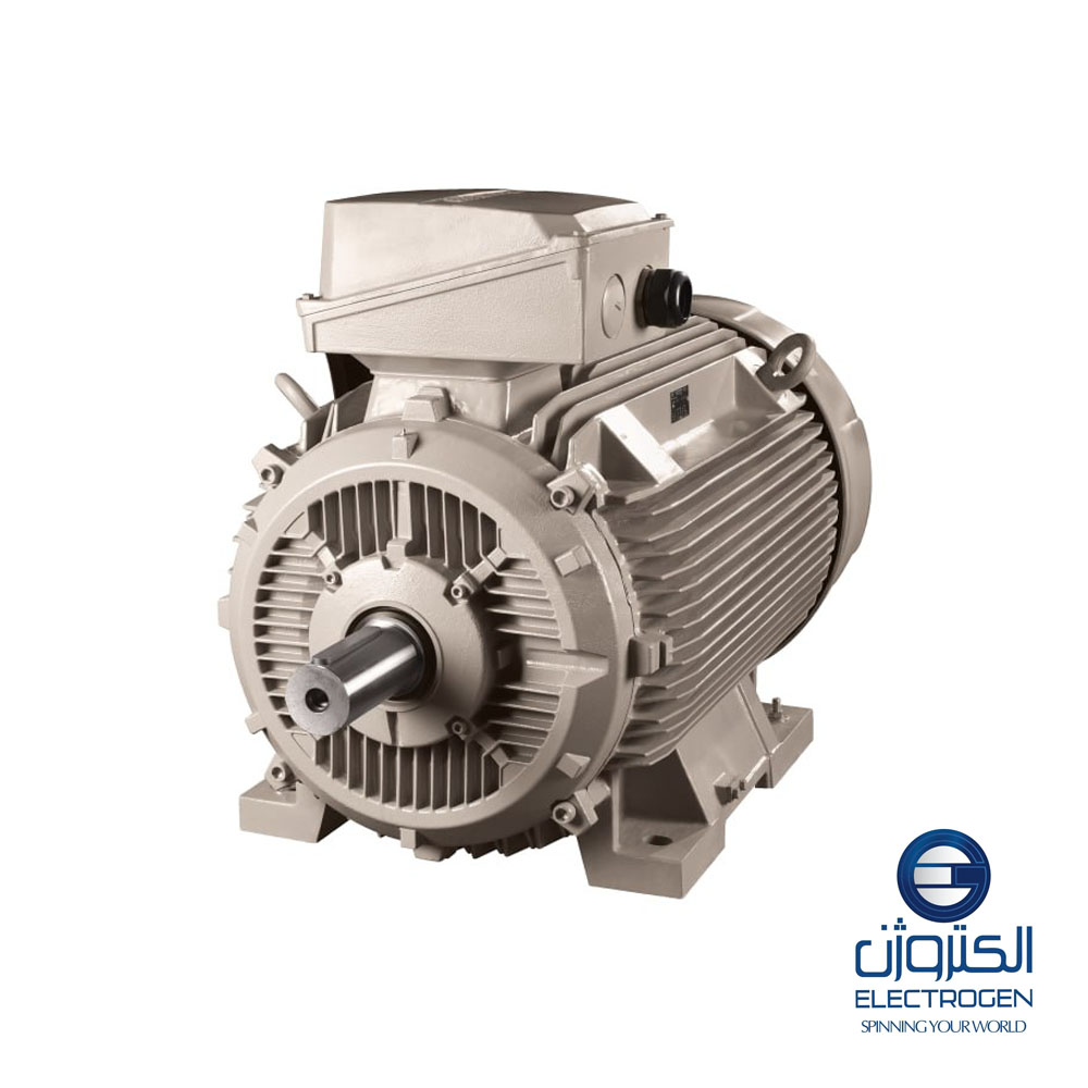 Трехфазный электродвигатель Electrogen 200-рама, 4 полюса, крепление B3