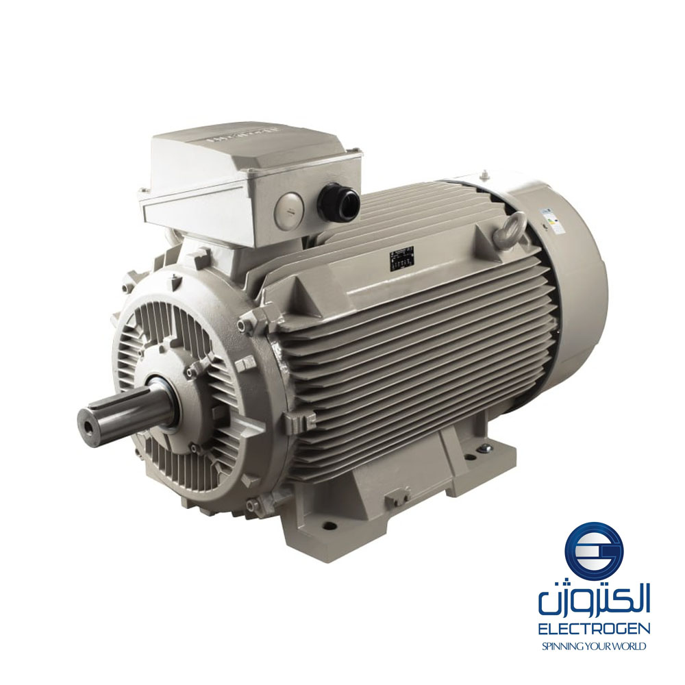 Трехфазный электродвигатель Electrogen 250-рама, 4 полюса, крепление B3