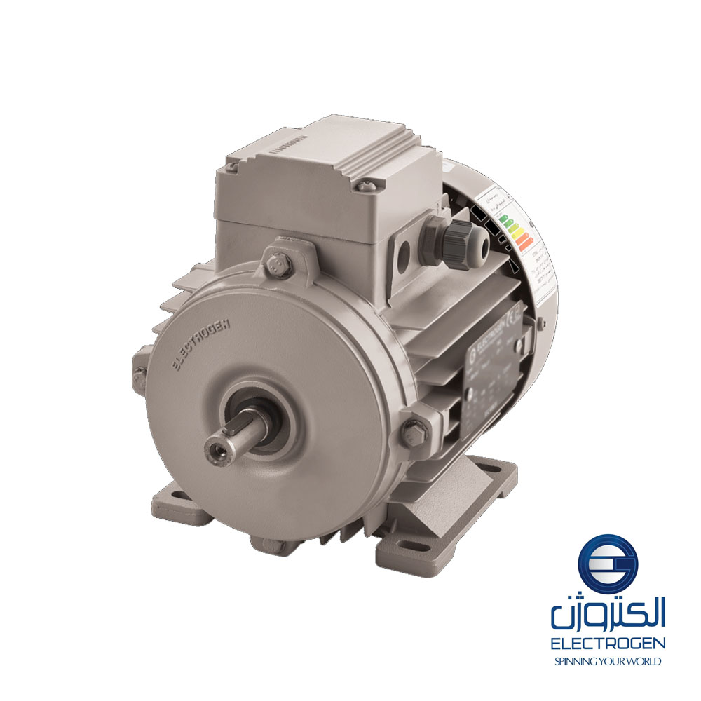 Трехфазный электродвигатель Electrogen 63-рама, 2 полюса, крепление B3
