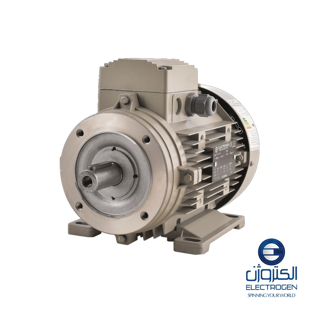 Трехфазный электродвигатель Electrogen 63-рама, 4 полюса, крепление B34
