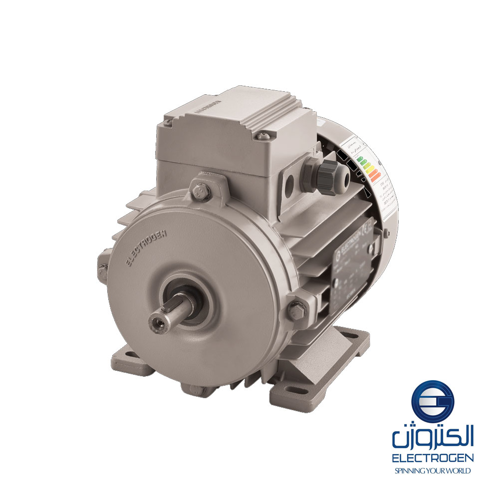 Трехфазный электродвигатель Electrogen 71-рама, 4 полюса, крепление B3