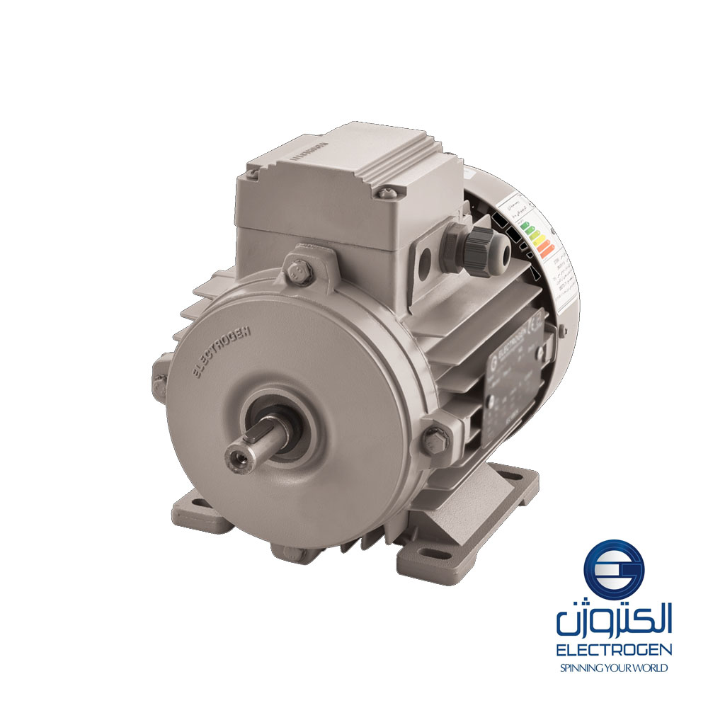 Трехфазный электродвигатель Electrogen 90-рама, 2 полюса, крепление B3