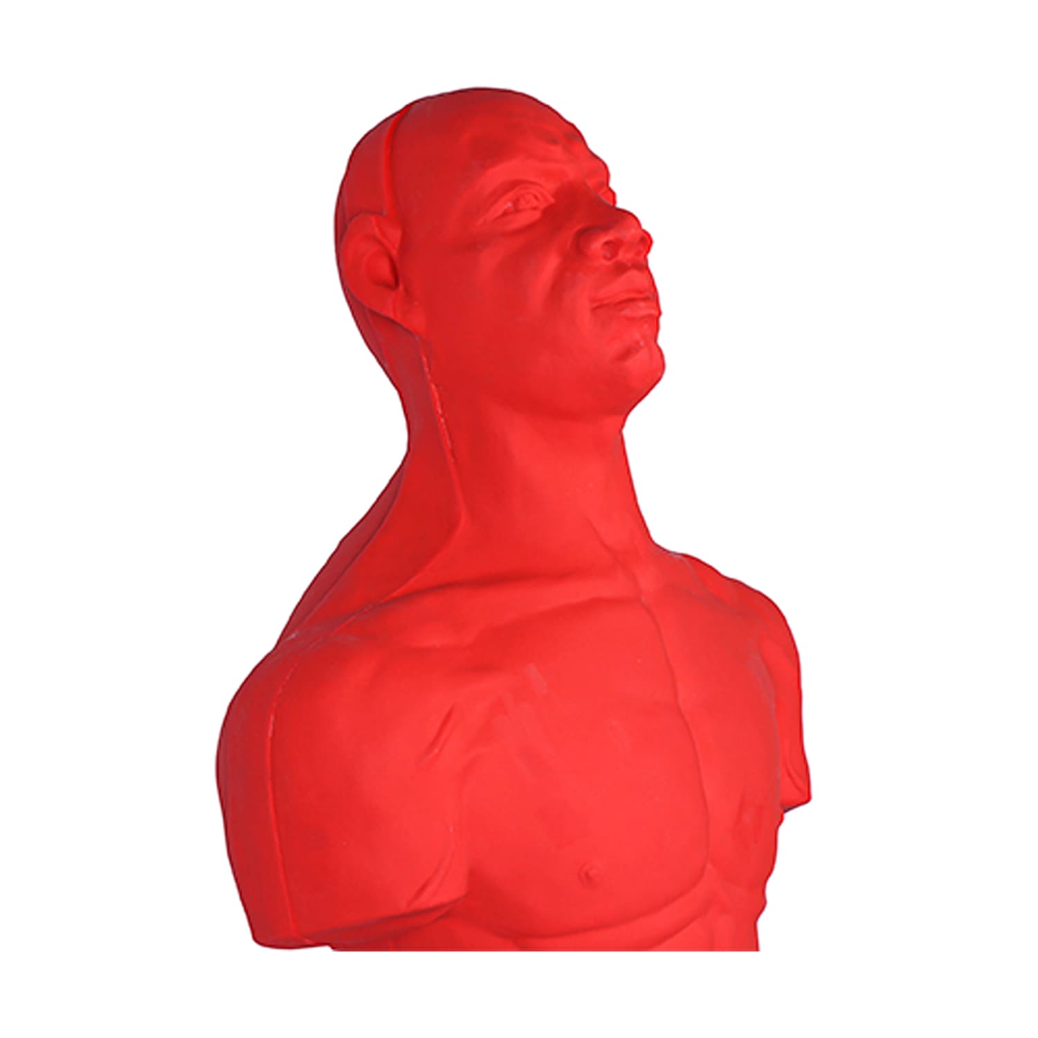 Водоналивной манекен для бокса A818