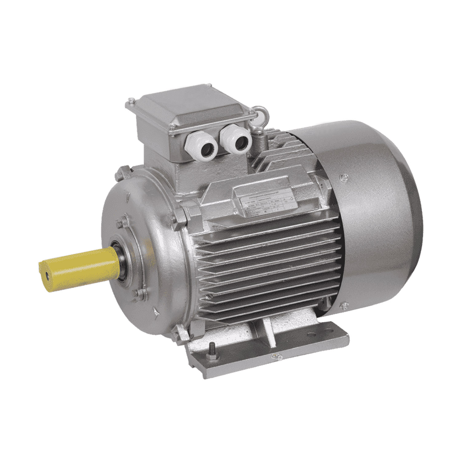 Электродвигатель асинхронный ENERGY MOTORS АИР160S-2