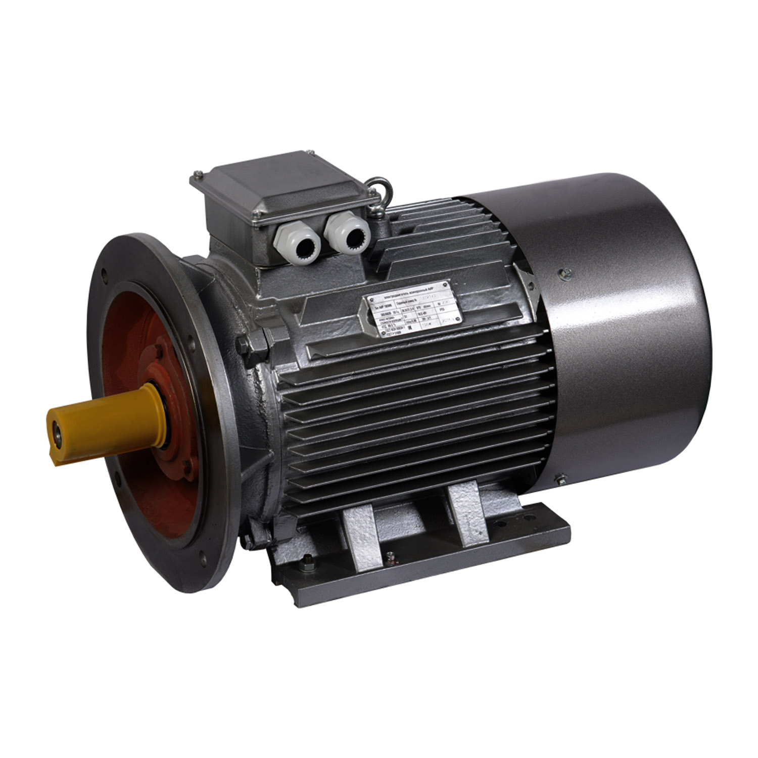 Электродвигатель асинхронный ENERGY MOTORS АИР180 M8