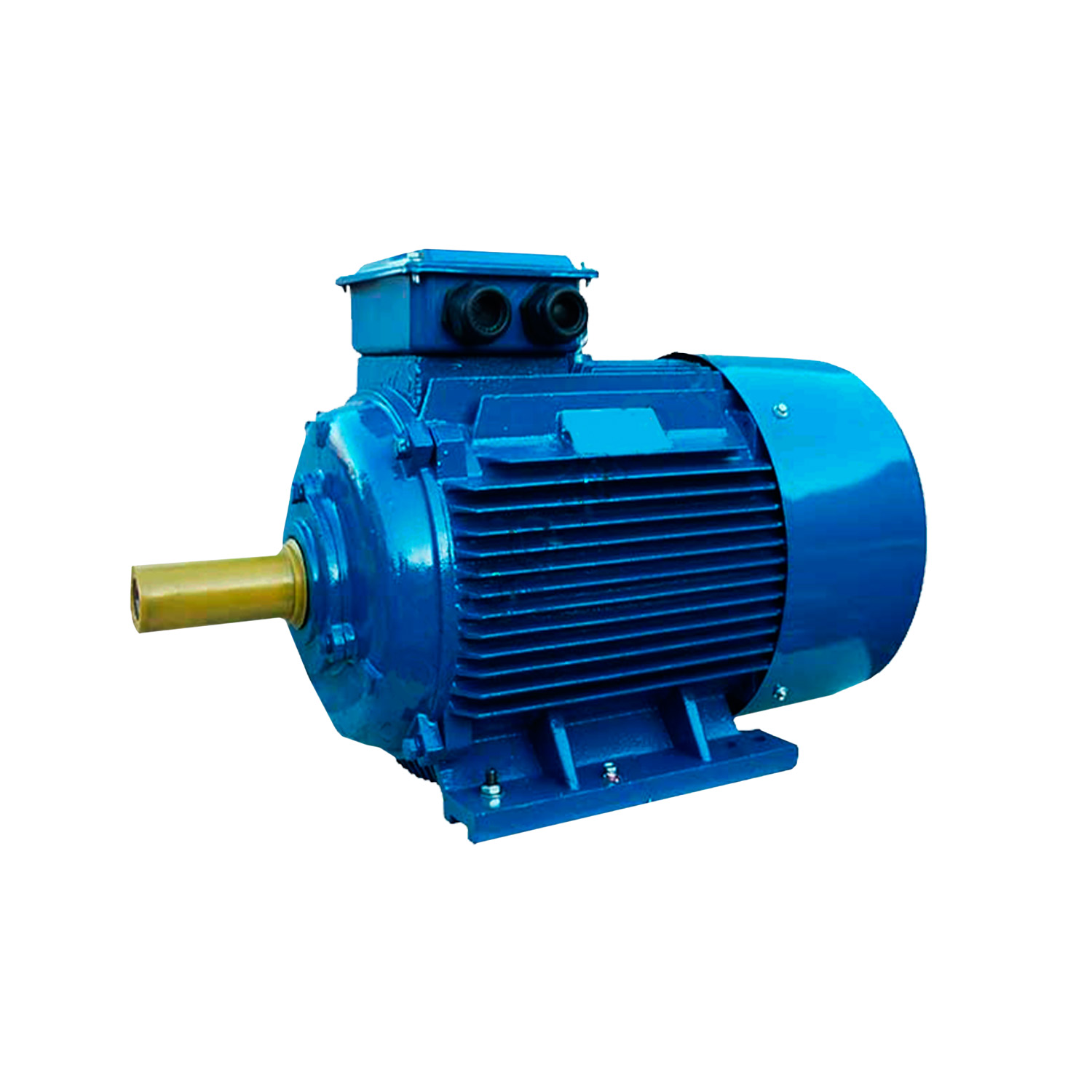 Электродвигатель асинхронный ENERGY MOTORS АИР200 L8