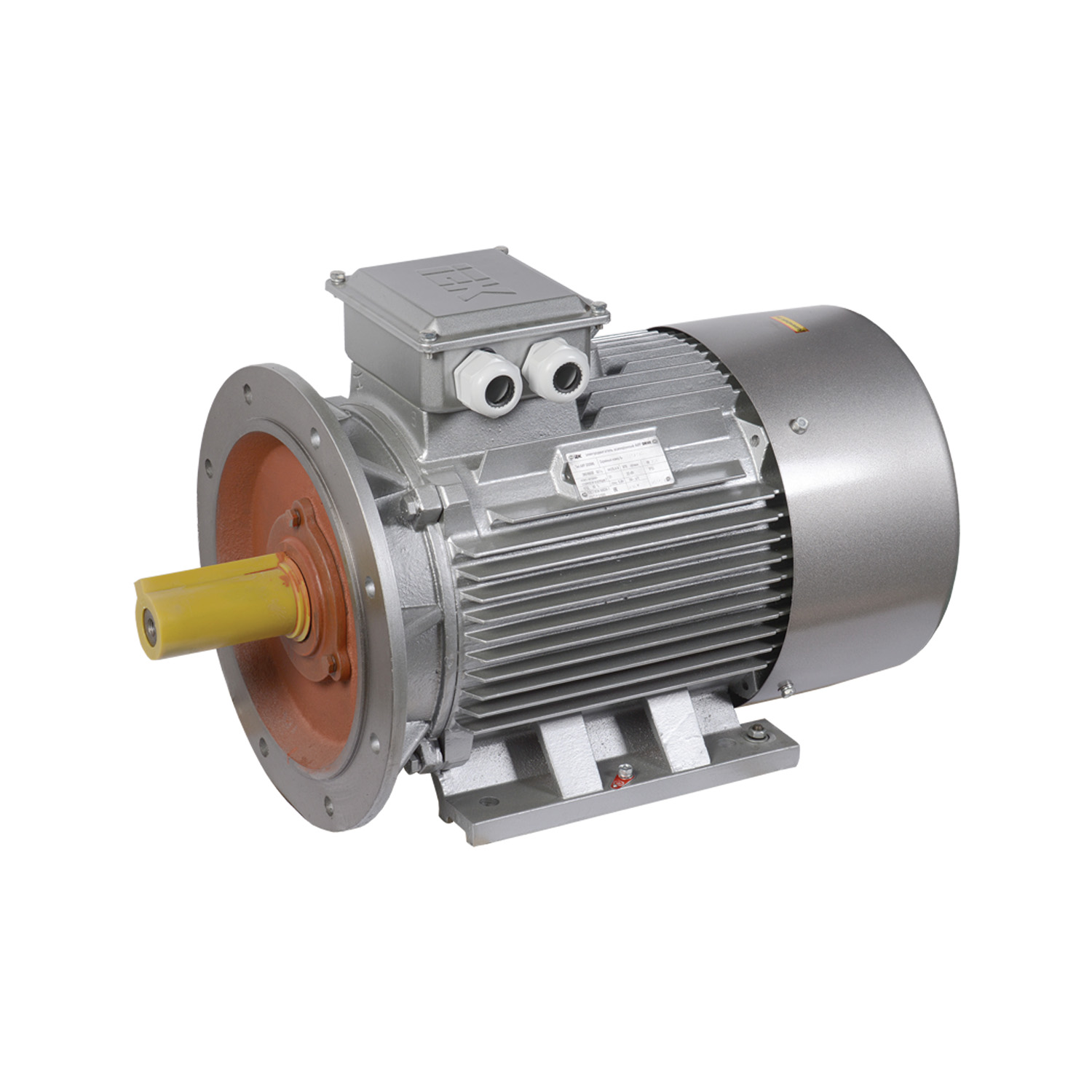 Электродвигатель асинхронный ENERGY MOTORS АИР200 M6