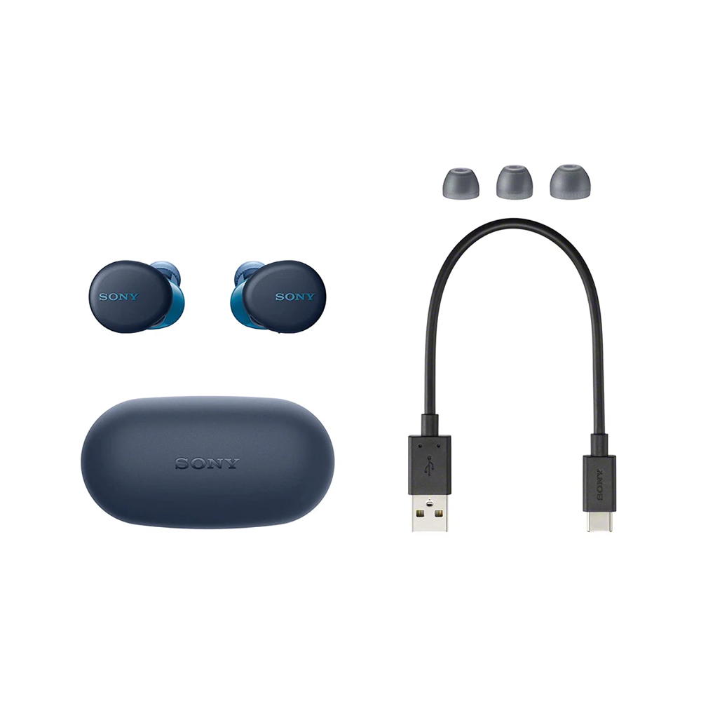 Беспроводные наушники Sony WF-XB700