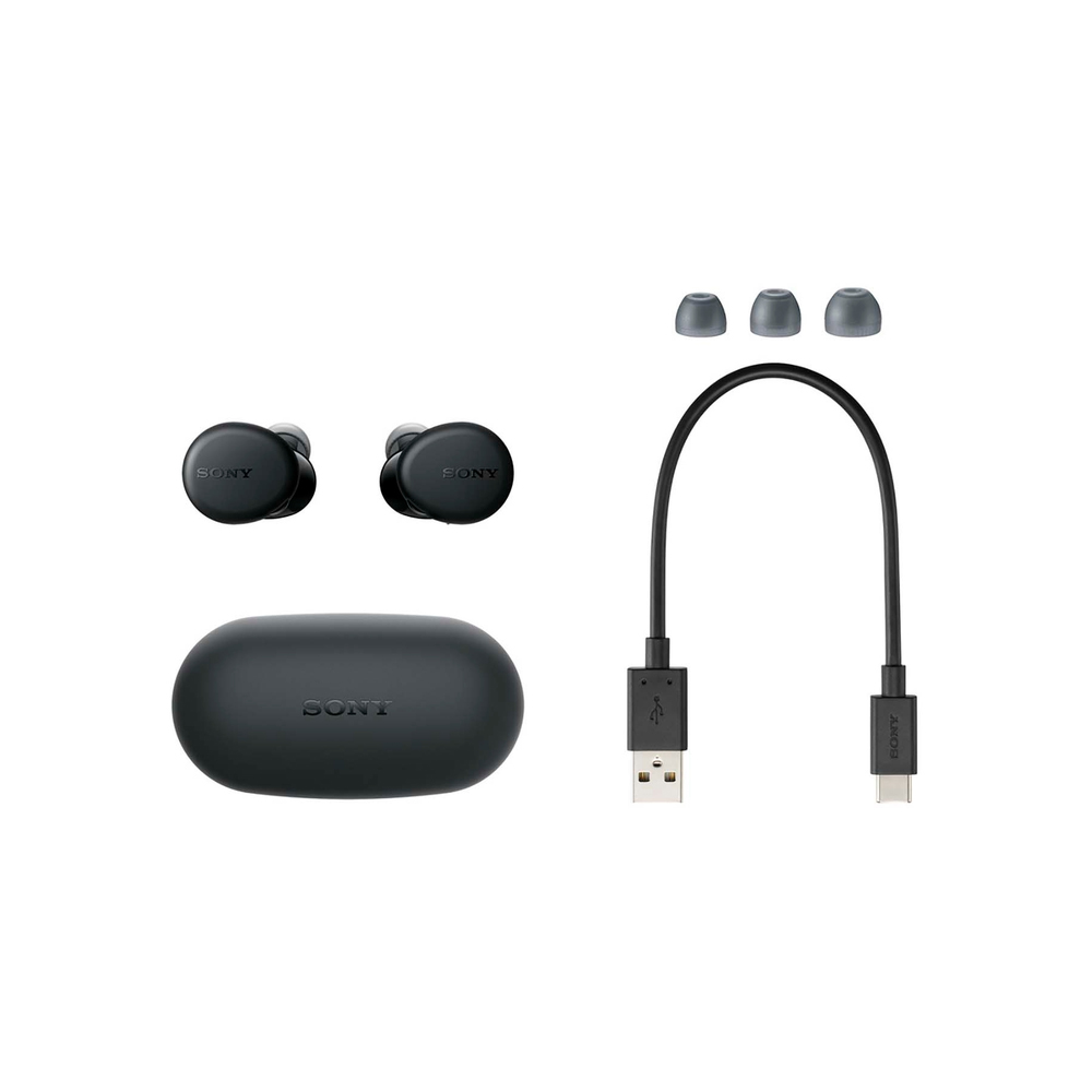 Беспроводные наушники Sony WF-XB700